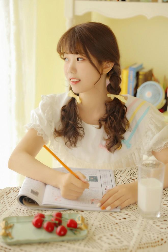 我和小动物的事作文